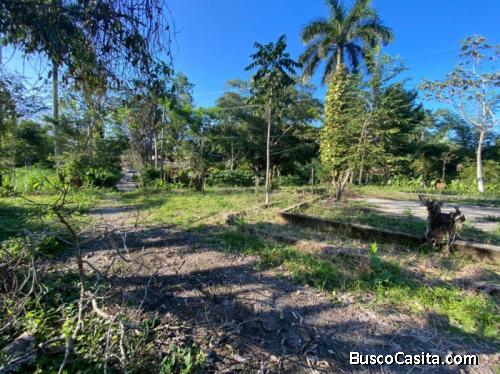 Vendo Terreno De 10,797.47vrs2 En Puerto Barrios Izabal; Idi: 114181