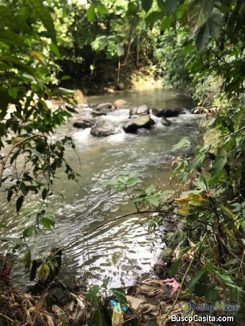 Finca Con Plantación De Hule Cuyotenango Suchitepequez; Idi: 111632