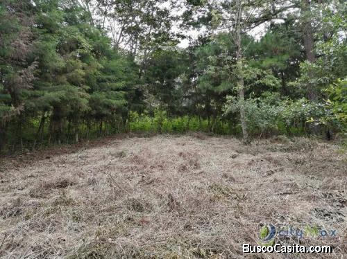 Terreno En Venta Los Horizontes Santo Domingo Xenacoj; Idi: 111137