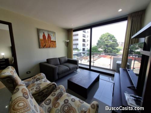 Apartamento Amueblado En Renta Zona 15 Vista Hermosa 1 ; Idi: 136487