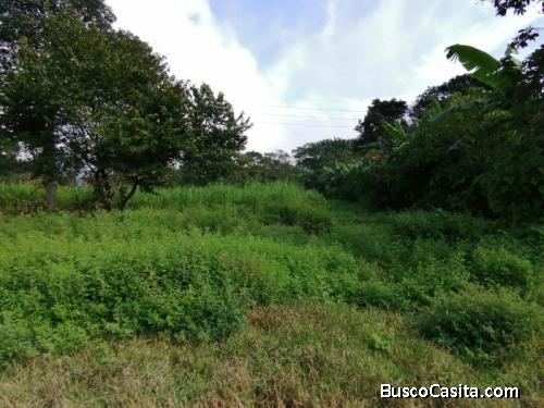 Terreno De 8,250mt2 En Venta En Palin Escuintla; Idi: 130354