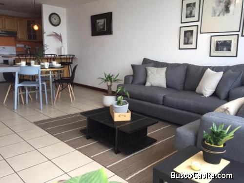 Renta De Apartamento Amueblado En Zona 14; Idi: 117064