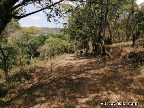 Venta Terreno 8 Manzanas Km 26.5 A Santa Elena Barillas; Idi: 115672