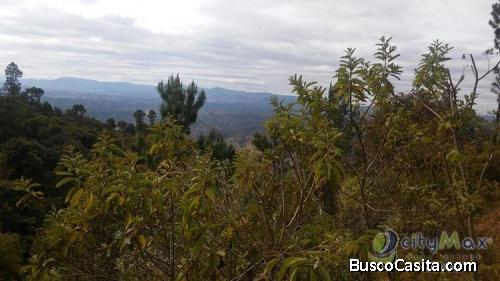 En Venta 70 Manzanas Terreno Boscoso San Pedro Ayampuc; Idi: 83307