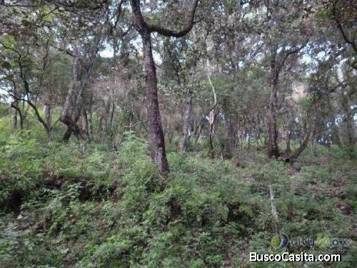 Terreno En Venta En El Encinal Tronco 10 Mixco; Idi: 68311