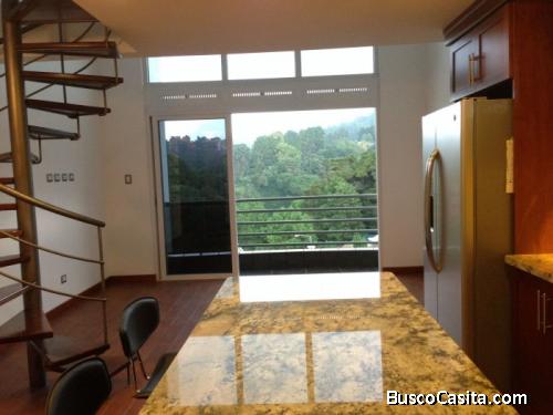 Rento Apartamento Tipo Loft Amueblado En Zona 16 ; Idi: 68114