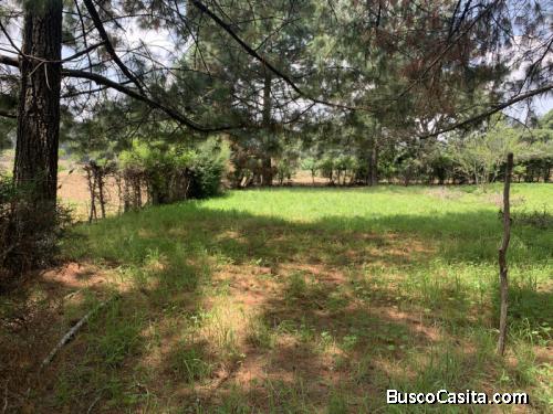 Lindo Terreno Plano En Venta, Km. 40 Interamericana.; Idi: 136072