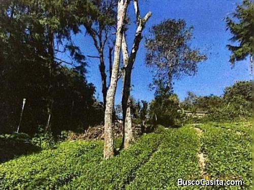 Citymax Antigua Vende Finca Rustica Santiago Sac; Idi: 134570