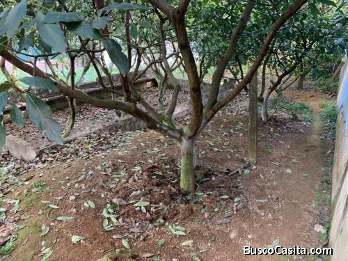 Se Vende Terreno Amplio En Santa Lucìa Milpas Altas; Idi: 133485