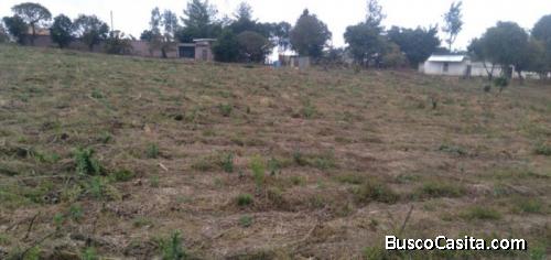 Citymax Renta Terreno Sobre Carretera Interamericana ; Idi: 123669