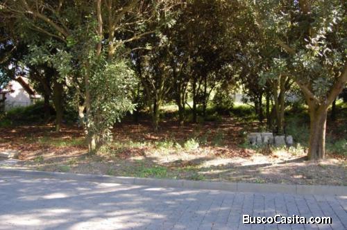 Citymax Vende Terreno Residencial En San Miguel Dueñas; Idi: 123412