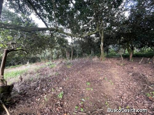 Terreno En Venta En San Cristóbal El Alto, Antigua Gt; Idi: 122517