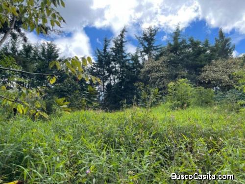 Citymax Vende Terreno Amplio En Santo Domingo Xenacoj; Idi: 120014