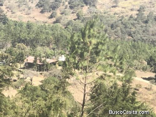 Finca En Venta Sajcavillá En San Juan Sacatepequez ; Idi: 118251