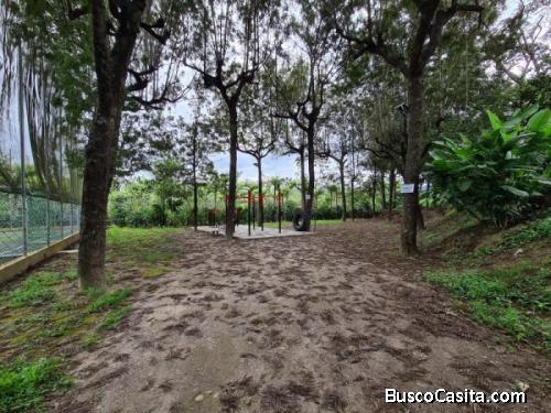 Citymax Antigua Renta Local Comercial Sobre Carretera; Idi: 113296