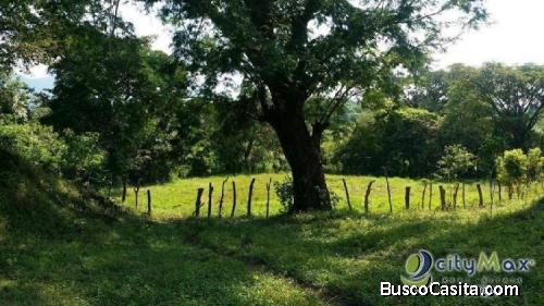Finca En Venta En Oratorio, Santa Rosa. 8 Manzanas ; Idi: 105347