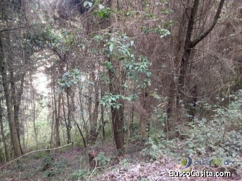 Vendo Terreno En El Hato La Antigua ; Idi: 84080