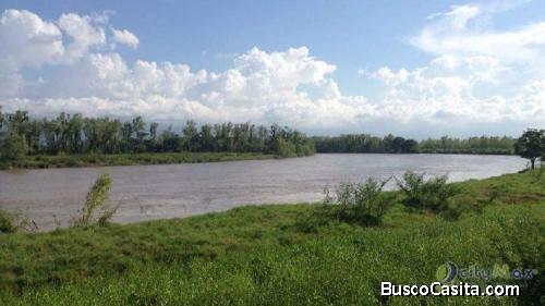 Citymax Vende Finca Gandera  En Izabal; Idi: 78281