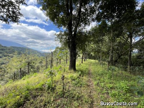 Ganga! Finca De 19 Manzanas En Milpas Altas ; Idi: 76727