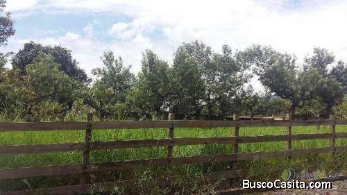 Se Renta Terreno Carretera Escuintla; Idi: 72023