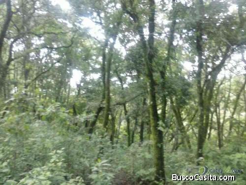 Venta-Renta En Carretera A  El Salvador; Idi: 71837