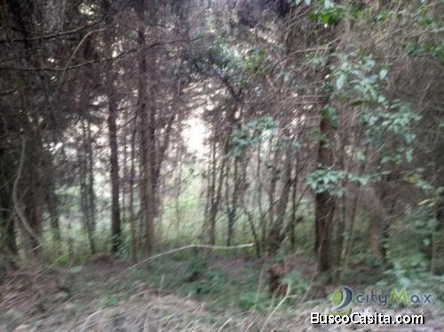 Citymax Vende Terreno En Venta En  Casco De La Antigua; Idi: 71593