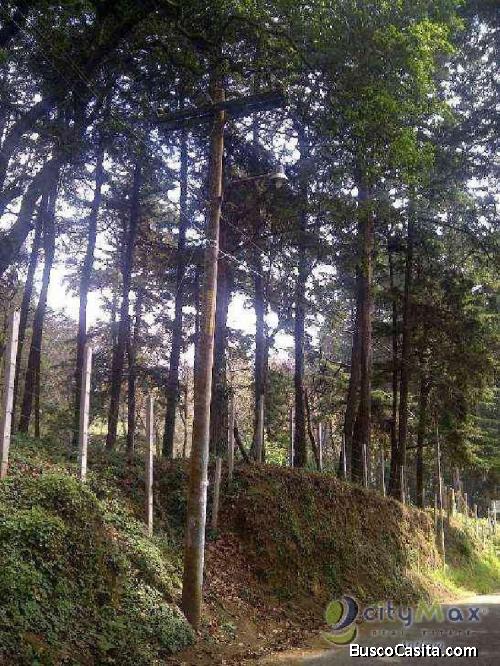 Terreno En Venta En Zorzoya San Lucas Sacatepéquez; Idi: 71532