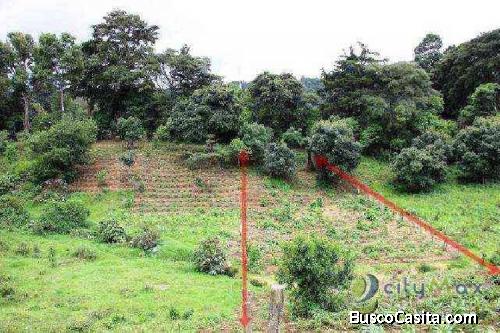 Citymax Antigua Vende Terreno En Sector De Santa Lucia!; Idi: 71446