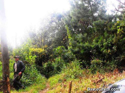 Renta De Terreno En Carretera Hacia San Lucas Sac. ; Idi: 71435