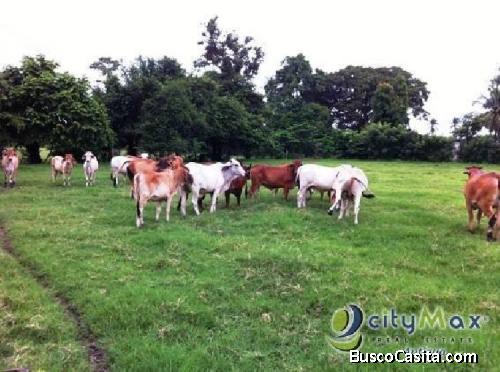 Venta De Finca En Carretera Hacia Puerto San José ; Idi: 71421