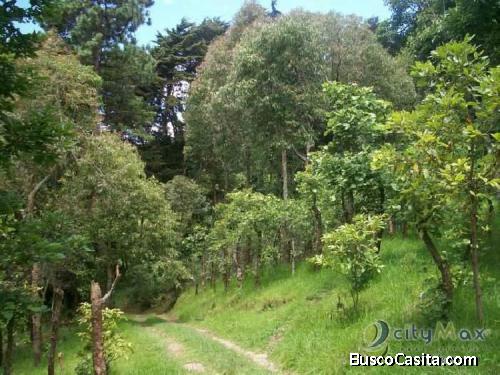 Venta De Terreno Dentro De Residencial En Santa Lucia!; Idi: 71236