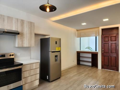 Apartamento De 1 Habitación En Renta Zona 16 La Montaña; Idi: 135170