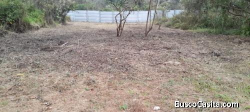 Terreno En Venta Granjas Praderas Del Bambú; Idi: 134230