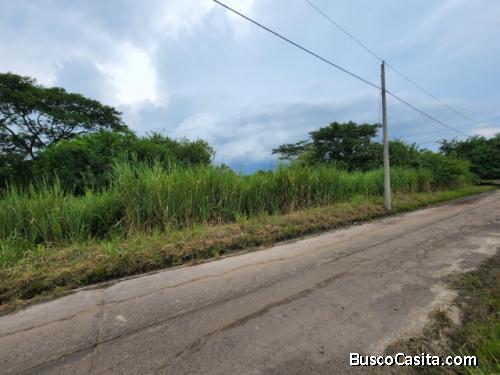 Terreno En Venta Quintas Malibu Ii Km 75 Pto. Quetzal; Idi: 131587