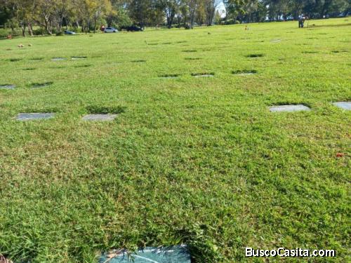 Terreno En Venta De 3 Criptas Cementerio Los Parques; Idi: 131378