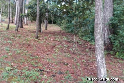 Terreno Tipo Granja En Venta Praderas Del Bambú; Idi: 130189