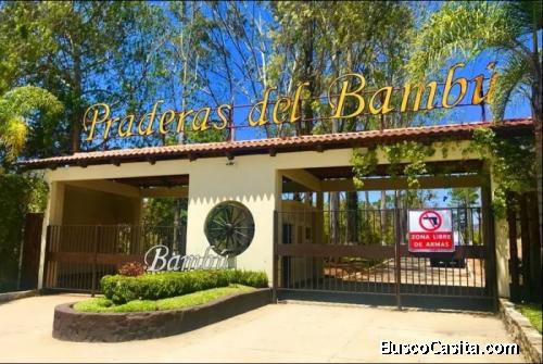 Granja En Venta Praderas De Bambú Km 30.3 Sacatepéquez ; Idi: 130188