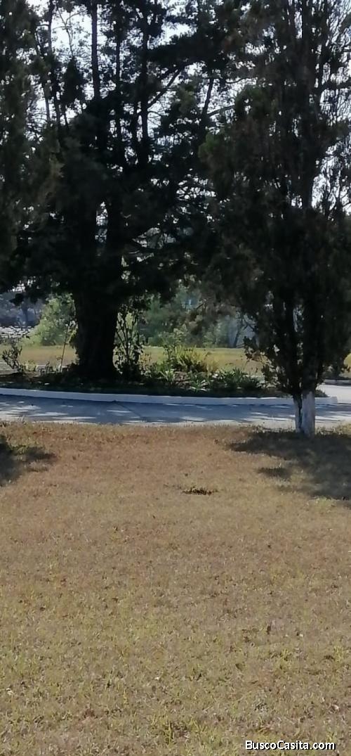 Terreno En Venta Cementerio Jardín Los Olivos, Ces; Idi: 129314