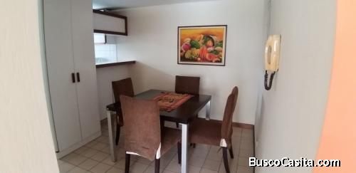 Apartamento Amueblado En Renta Zona 9 Ciudad Guatemala; Idi: 127735