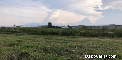 Terreno En Venta De 1.9 Manzanas En Villa Nueva; Idi: 122642