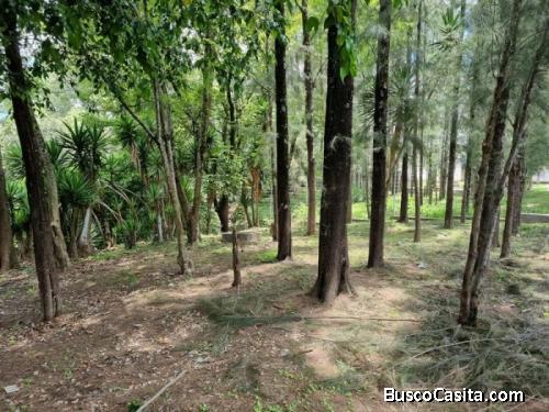 Terreno En Renta Para Vivero O Restaurante Tipo Pérgola; Idi: 117932