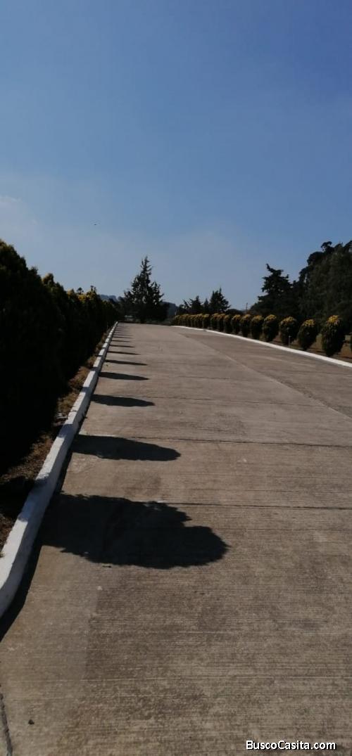 Terreno En Venta De 3 Criptas Cementerio Los Olivos Ces; Idi: 117876