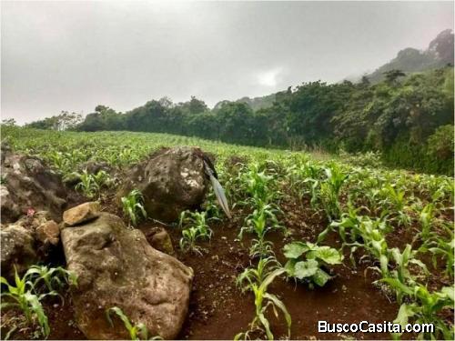 Terreno En Venta Jutiapa, Más De 2 Manzanas; Idi: 116262