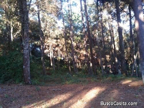 Terreno En Venta En Granjas Praderas Del Bambú 2; Idi: 113854