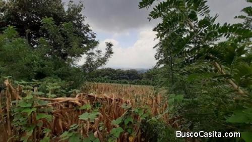 Terreno Plano En Venta; Idi: 112539