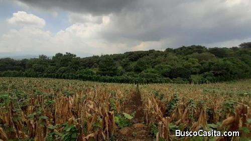 Terreno En Venta Santa Catarina Pinula Para Inversión; Idi: 112480