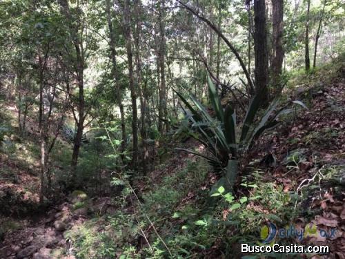 Terreno Rustico En Venta En Santa Rosa; Idi: 103929