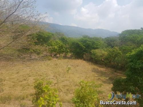 Vendo Finca De 8.8 Mazanas En Oratorio, Santa Rosa; Idi: 103783