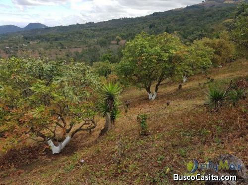 Terreno En Venta De 2.6 Manzanas En San Vicente Pacaya; Idi: 90501