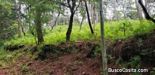 Terreno En Venta El Encinal Zona 7 De Mixco, Guatemala; Idi: 86935